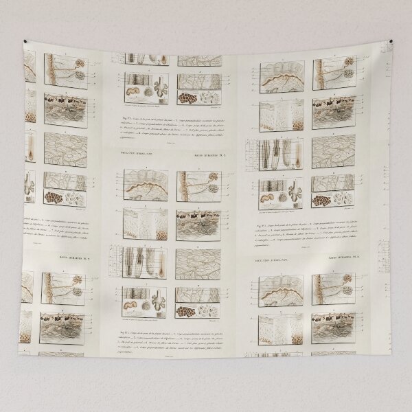 Item preview,  Human skin layers vintage illustration  designed and sold by Vintage Designs +.