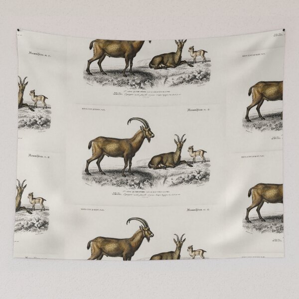 Aperçu de l'œuvre Mountain Goats vintage illustration créée et vendue par Vintage Designs +.