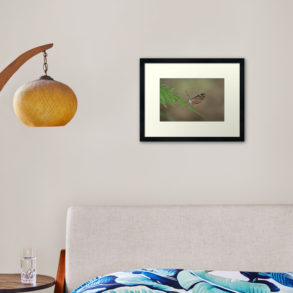 Peruvian Glass Butterfly Framed Art Print