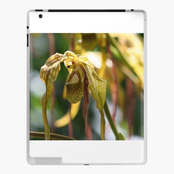 Peruvian Orchid iPad Skin