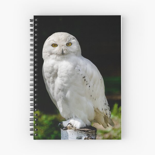 Item preview, male snowy owl (Bubo scandiacus)  designed and sold by Martin Leber.