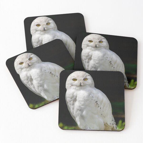 Item preview, male snowy owl (Bubo scandiacus)  designed and sold by Martin Leber.
