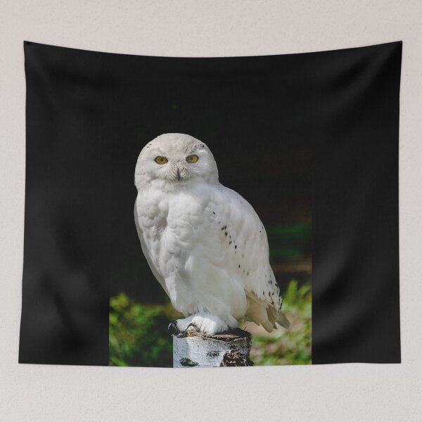 Item preview, male snowy owl (Bubo scandiacus)  designed and sold by Martin Leber.