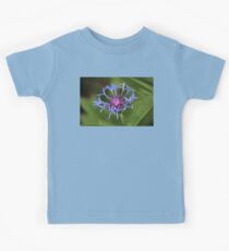 Centaurea closeup Kids Tee