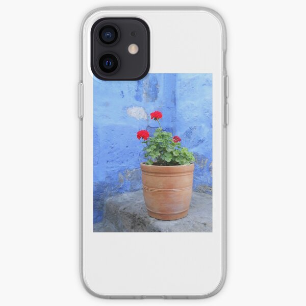 Red Geranium in Terracotta Pot with Contrasting Blue Wall iPhone Soft Case