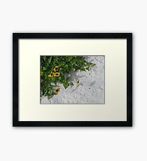 Beach Flowers Framed Print