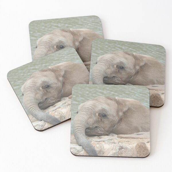 Item preview, Bebé Elefante Africano designed and sold by MDHarding.