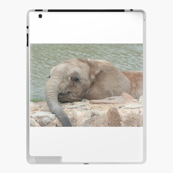 African Baby Elephant iPad Skin