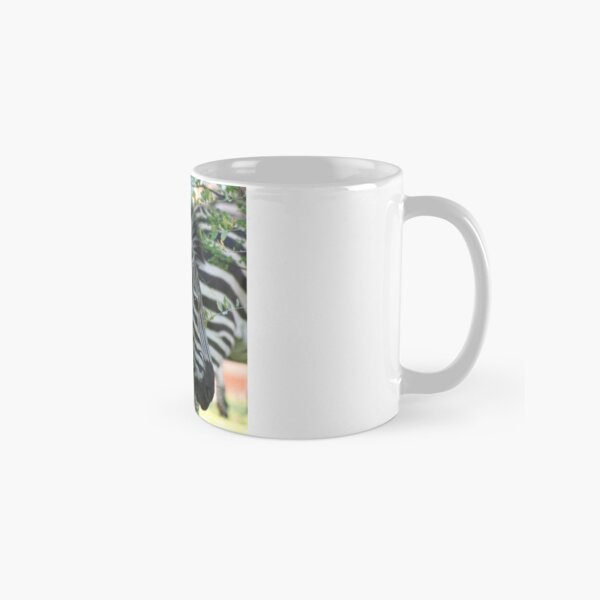 Zebra in Zambia Classic Mug