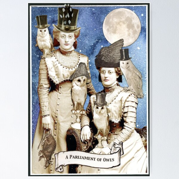 Item preview, Ein Parlament der Eulen designed and sold by WinonaCookie.
