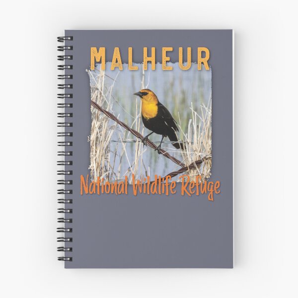 Item preview, Mirlo de cabeza amarilla, Malheur National Wildlife Refuge designed and sold by AvocaSpring.