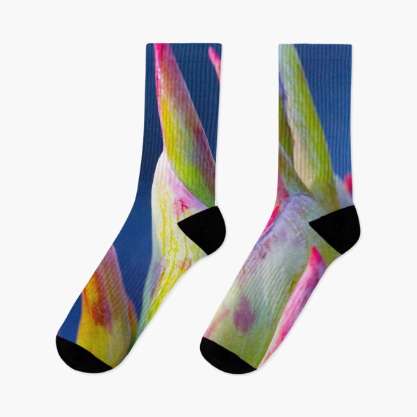 Item preview, Canna Blooms designed and sold by srgreen.