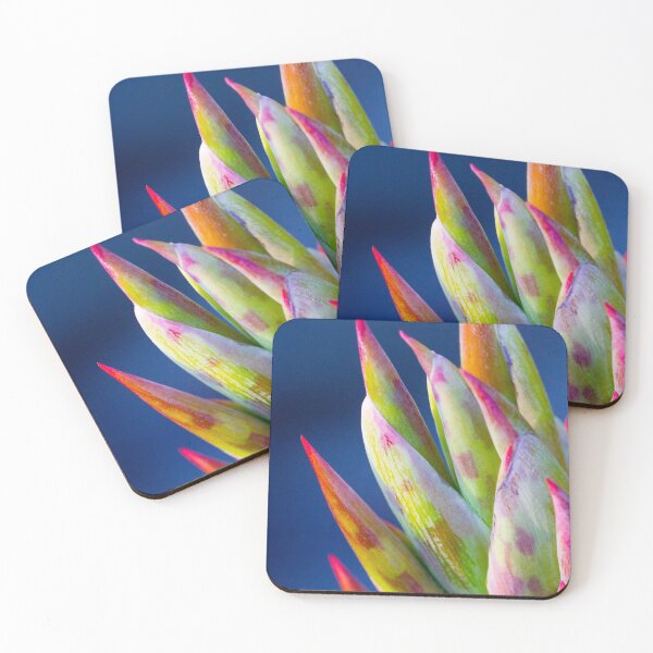 Item preview, Canna Blooms designed and sold by srgreen.