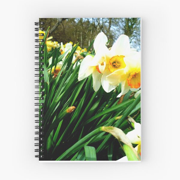 Item preview, Daffodil  designed and sold by Haley Baldwin.