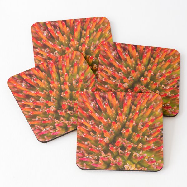 Item preview, Abstract Flower Closeup designed and sold by srgreen.