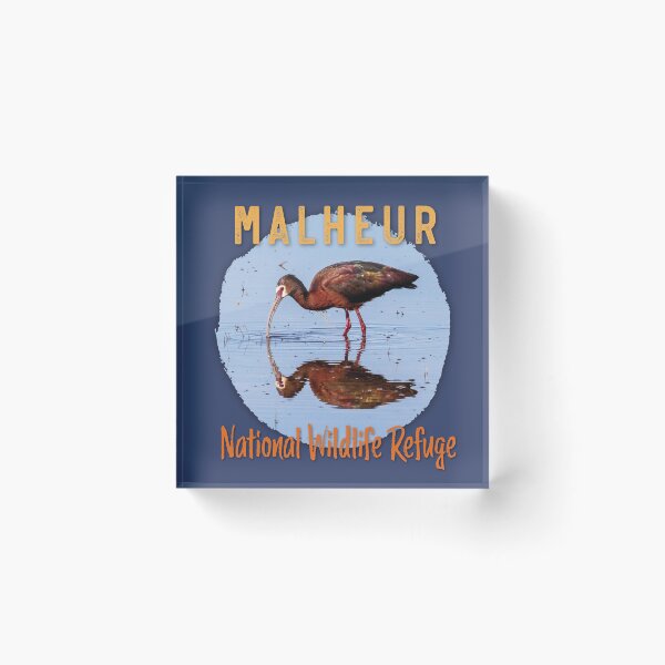 Item preview, White-faced Ibis, Malheur National Wildlife Refuge designed and sold by AvocaSpring.
