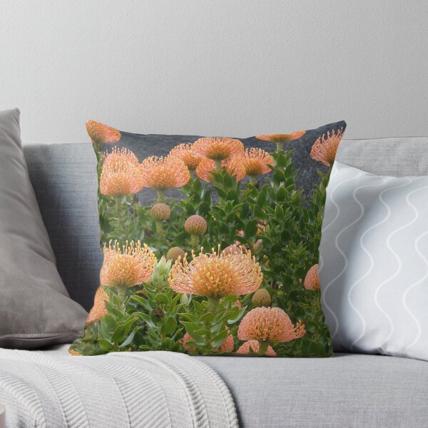 Item preview, Flor de protea africana designed and sold by MDHarding.