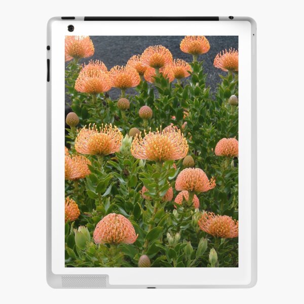 African Protea Flower iPad Skin