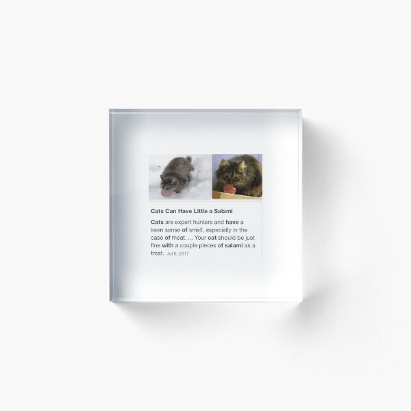 Cats Can Have Little Salami Logo Acrylic Block