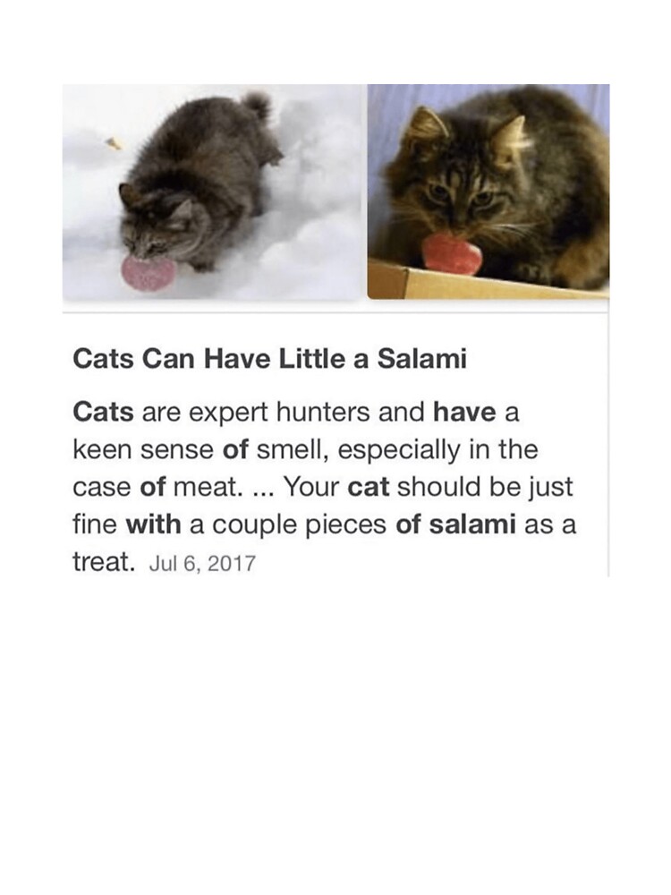 Cats Can Have Little Salami Logo Baby One Piece By Robin Redbubble