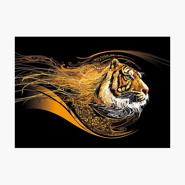 Profil tigre Impression photo