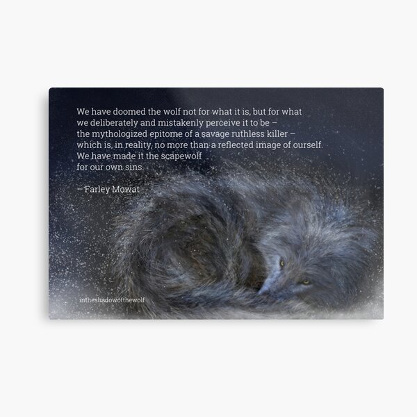 Metal Print