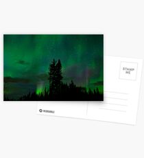 Encore Auroras Postcards