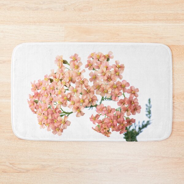 Item preview,  Achillea millefolium 'Salmon Beauty' designed and sold by Chris Burrows.