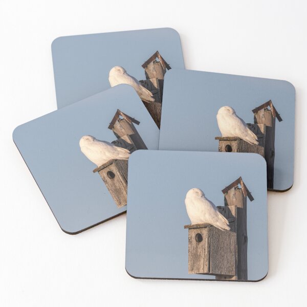 Item preview, Snowy Owl 2019-6 designed and sold by Thomasyoung.