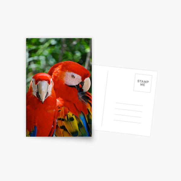 Xcaret Gifts & Merchandise for Sale Redbubble