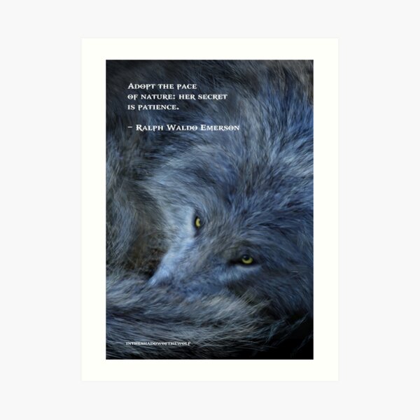 Patience Art Print