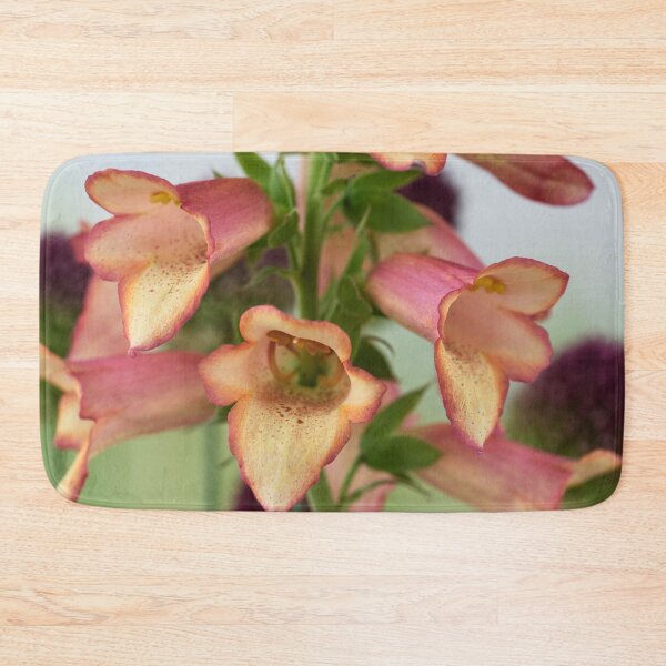 Item preview,  Digitalis x valinii Illumination Pink = 'Tmdgfp001' Foxglove Illumination Series designed and sold by Chris Burrows.