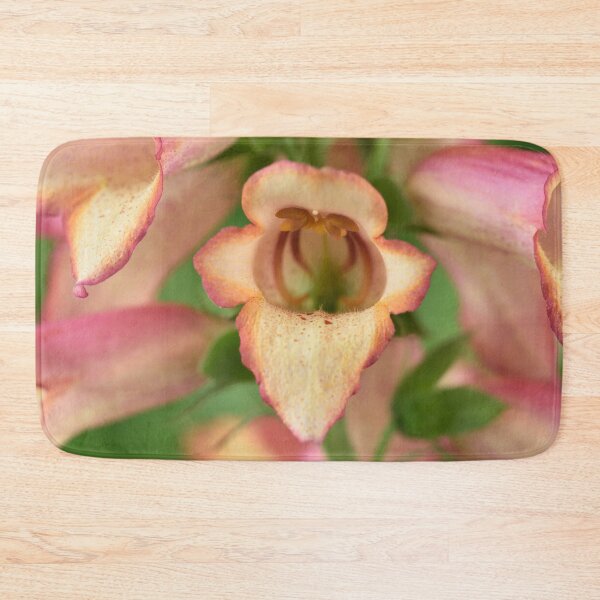 Item preview,  Digitalis x valinii Illumination Pink = 'Tmdgfp001' Foxglove Illumination Series designed and sold by Chris Burrows.