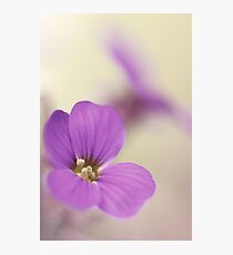 Pink Flowers...*2* Photographic Print