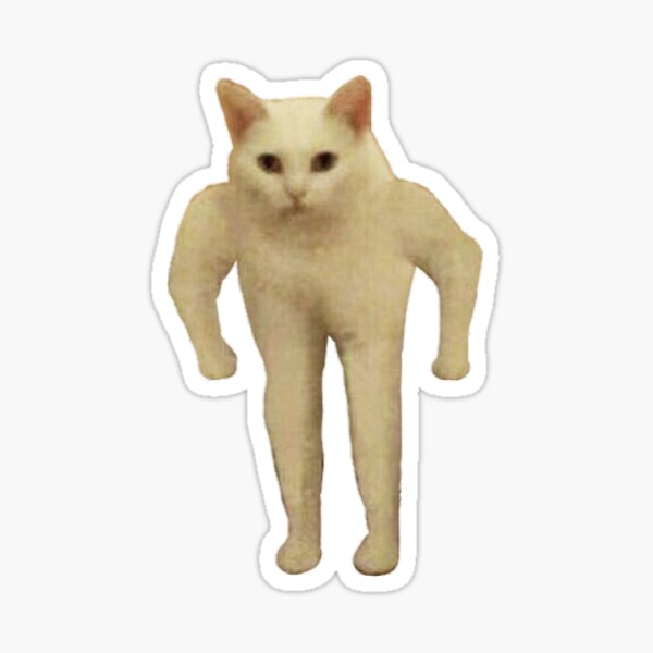 standing cat pfp meme : r/teenagers