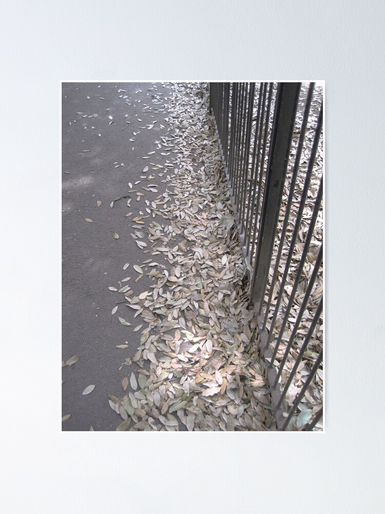 Thumbnail 1 of 3, Poster, Fallen Leaves designed and sold by BridgetRust.