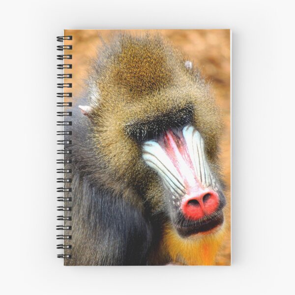 Item preview, Mandrill 2  designed and sold by Barnbk02.