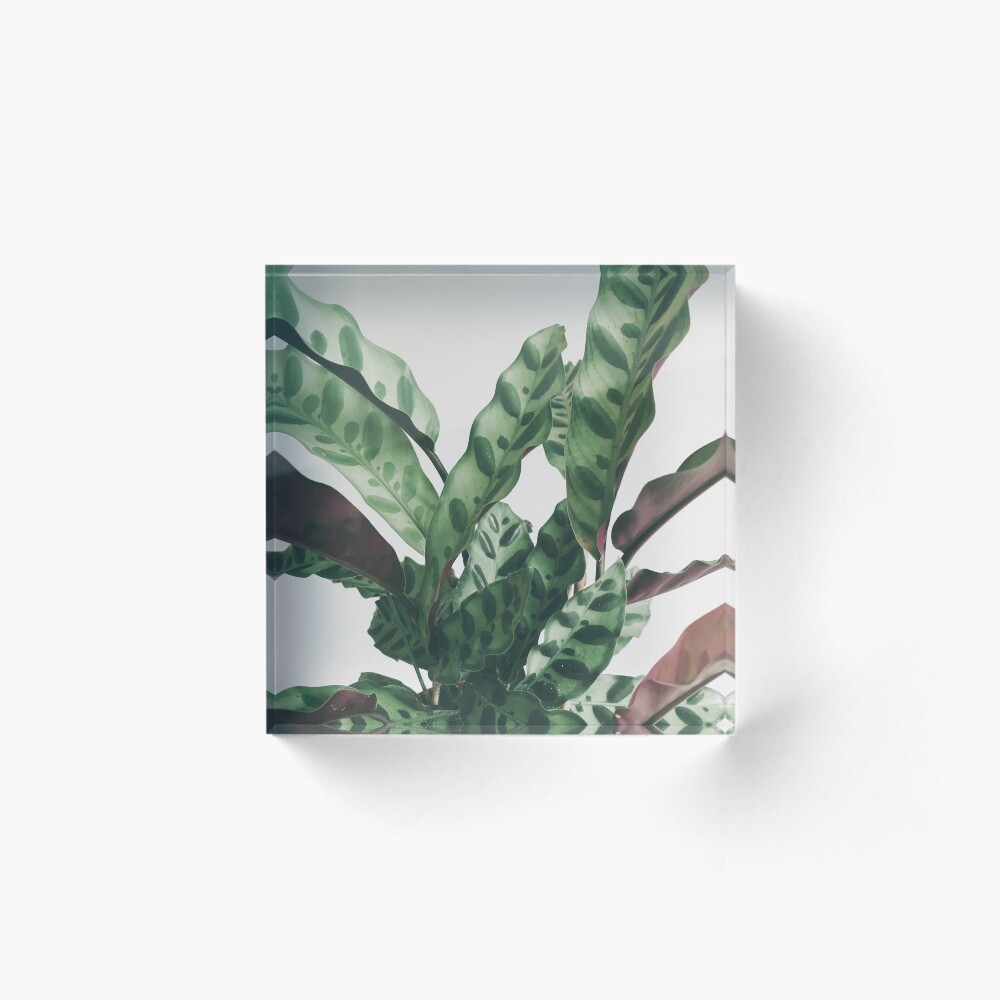 Item preview, Acrylic Block designed and sold by Cassia.