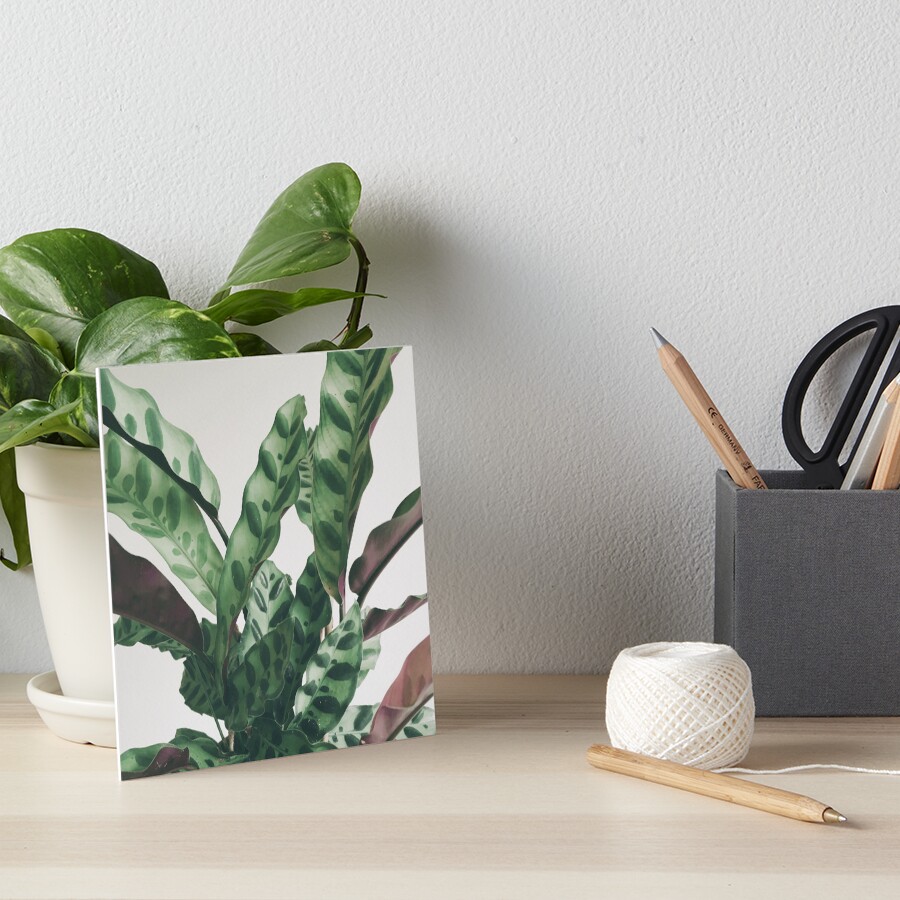 Item preview, Art Board Print designed and sold by Cassia.