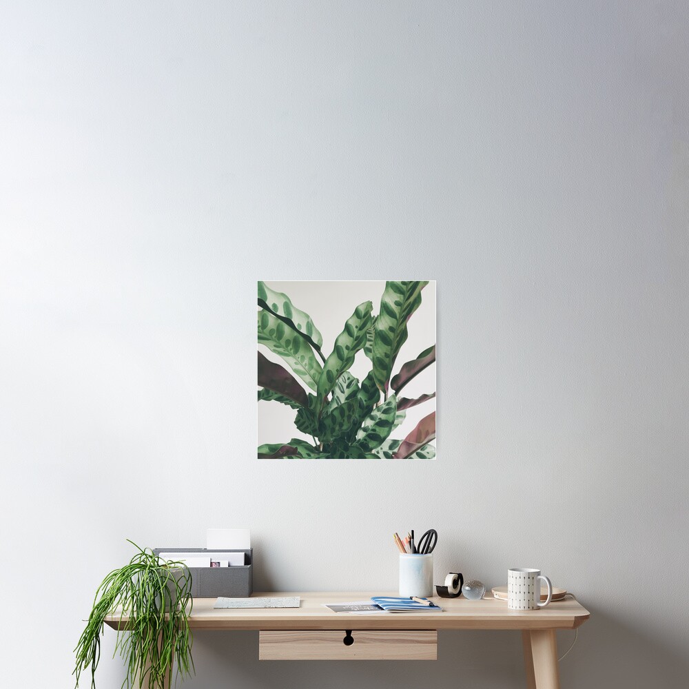 Item preview, Poster designed and sold by Cassia.