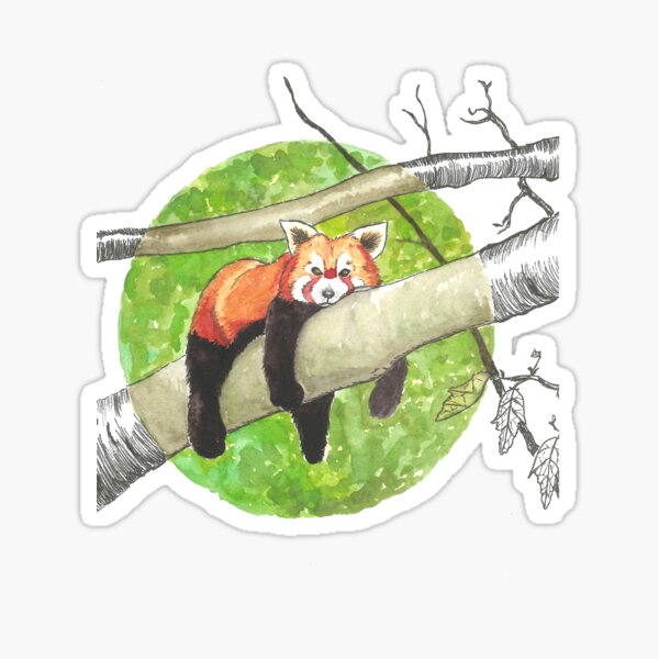 Panda roux au repos Sticker