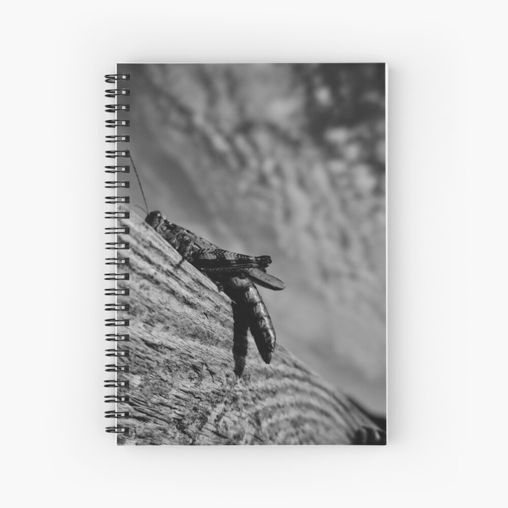 Magic Grasshopper By Yannis Lobaina Spiral Notebook