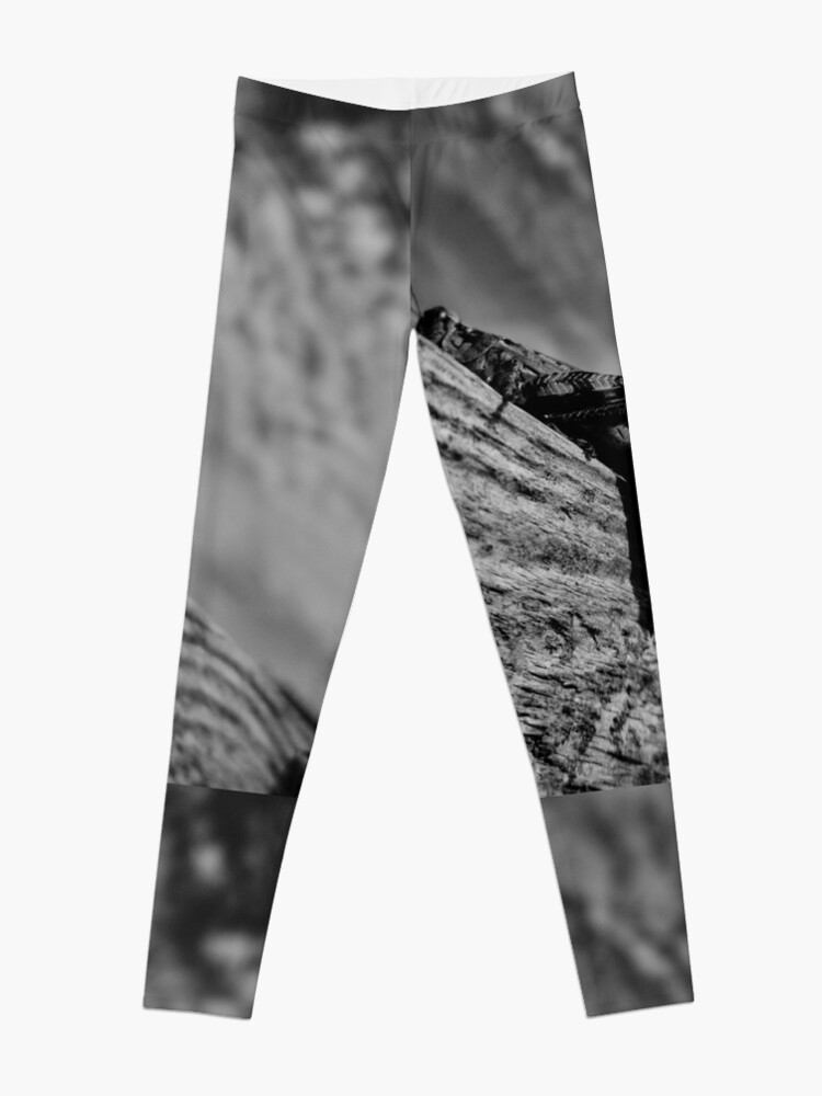 Alternate view of Magic Grasshopper By Yannis Lobaina Leggings