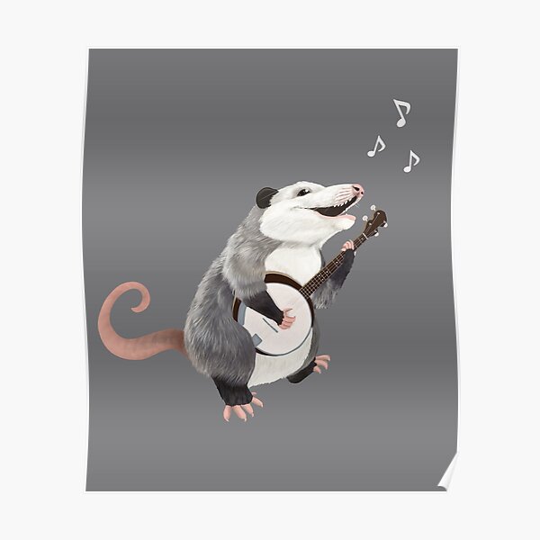 possum playing banjo shirt