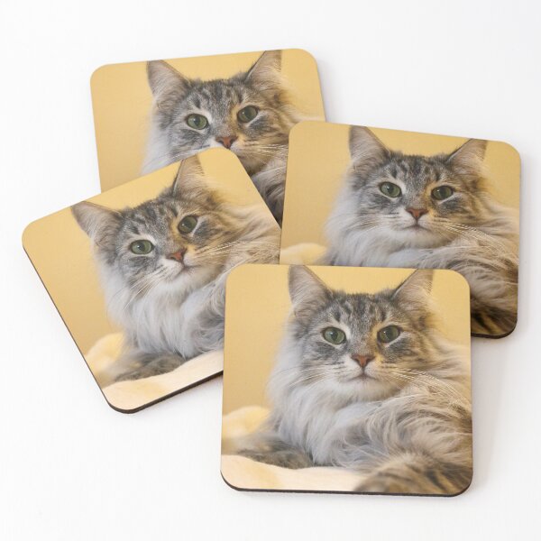 Item preview, Norwegian forest cat designed and sold by GreyFeatherPhot.