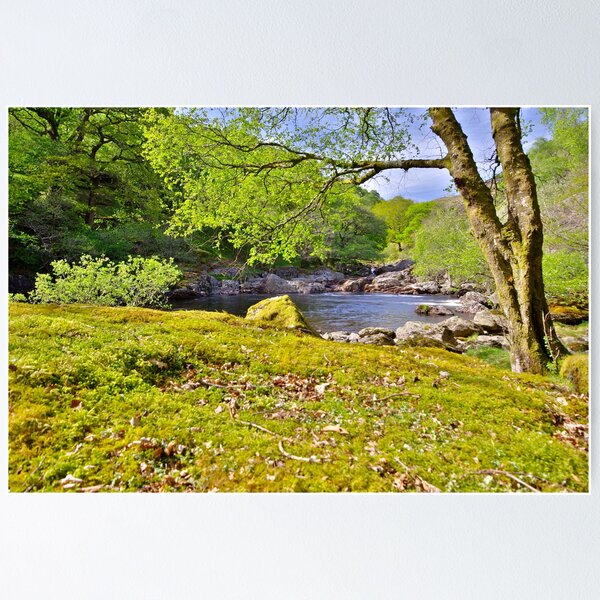 Artikel-Vorschau von Junction Pool, where the Doethie flows into the Tywi, designt und verkauft von Tarquin.