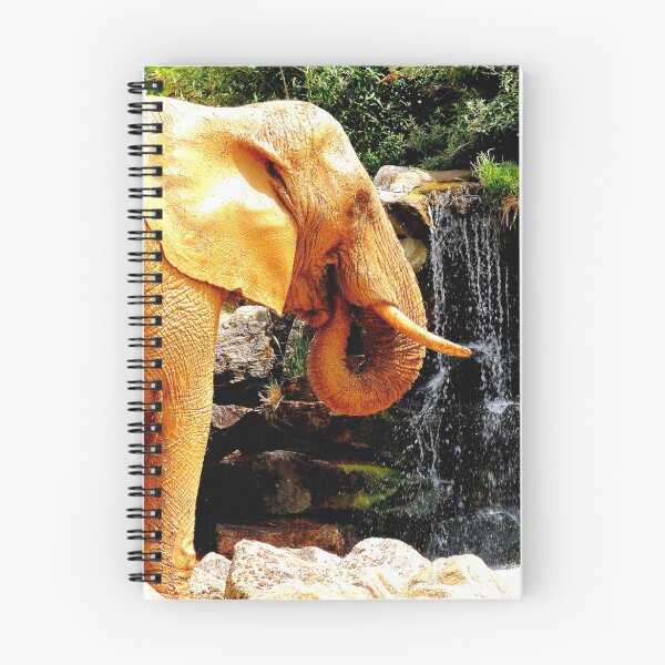 Item preview, Elefante africano designed and sold by Barnbk02.
