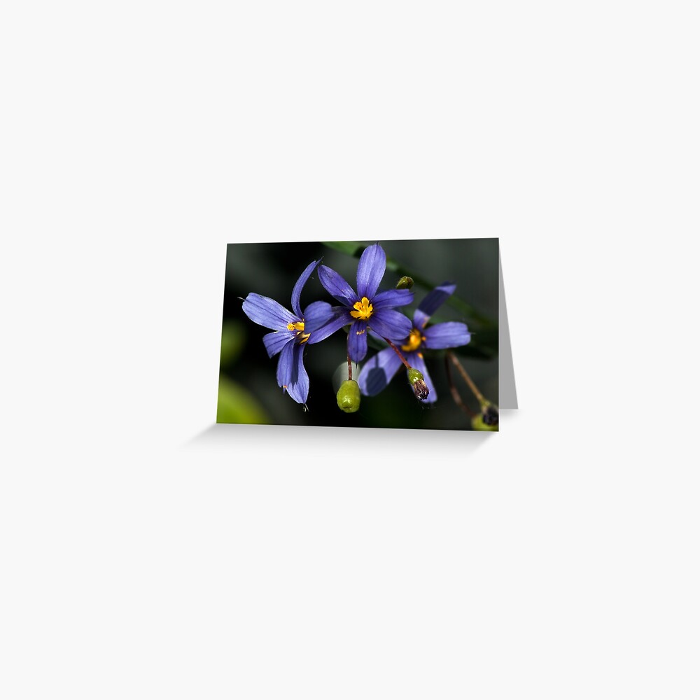 Item preview, Greeting Card designed and sold by steppeland.
