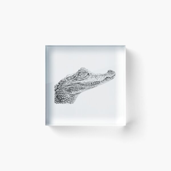 Item preview, Croc Ink Drawing designed and sold by DSC Arts.