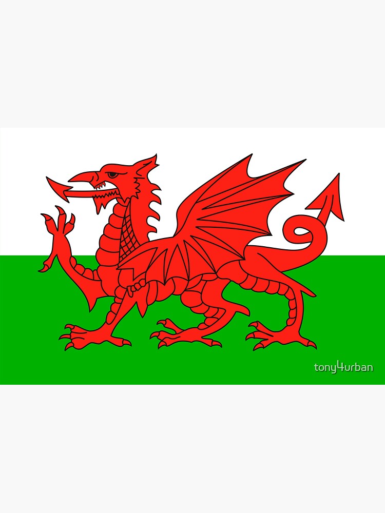 wales flag by tony4urban